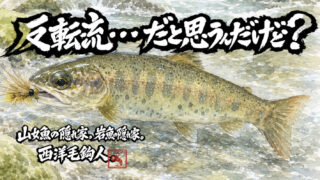 【フライフィッシング】反転流・・・だと思うんだけど？ 