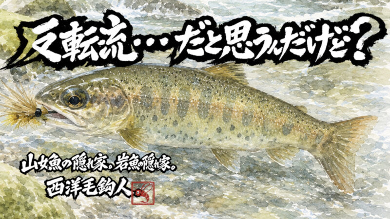 【フライフィッシング】反転流・・・だと思うんだけど？