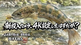 【フライフィッシング】新投入カメラ、4K設定したはずだが？ 