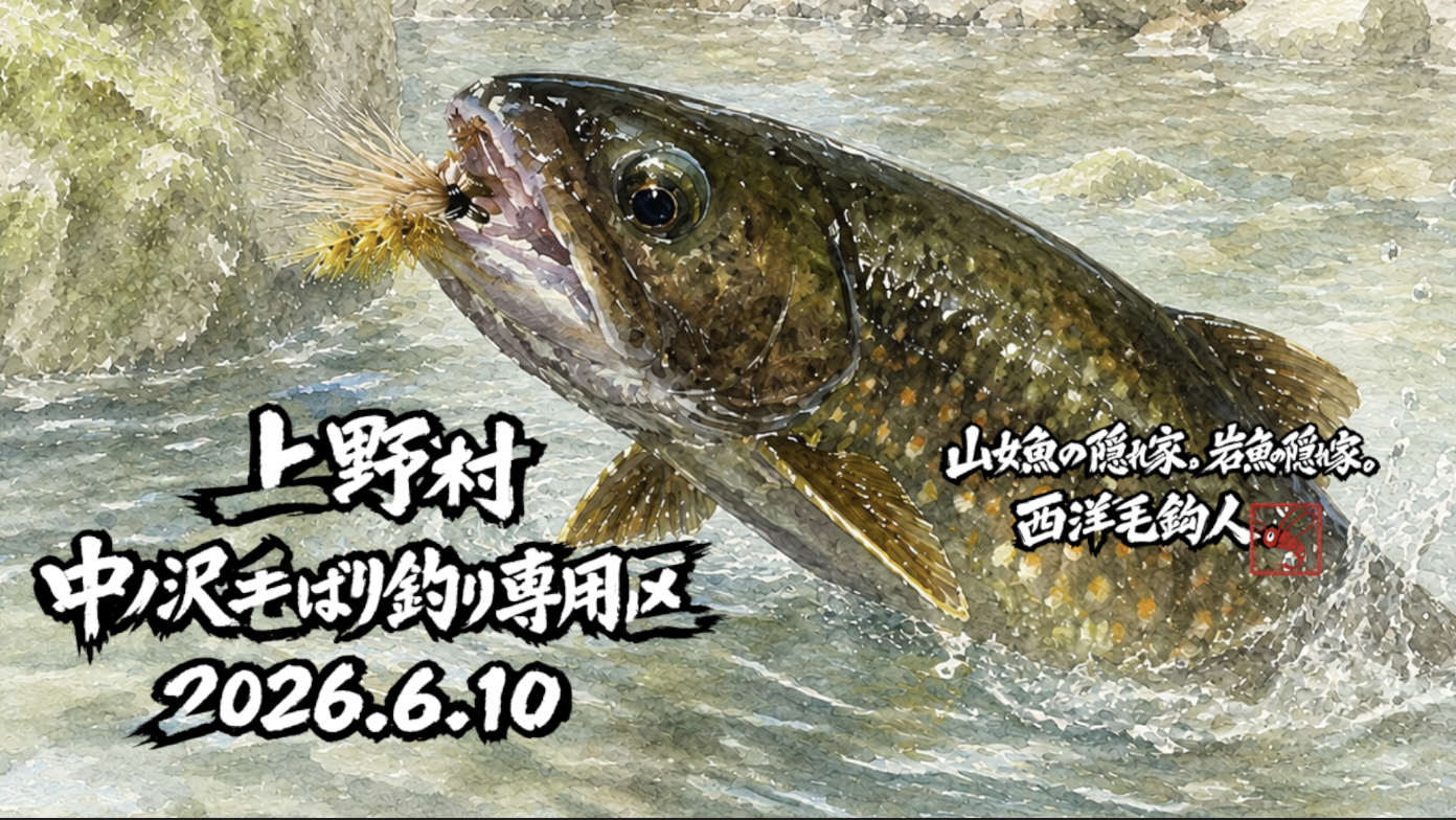【釣果19匹山女魚9岩魚10】中丿沢毛ばり釣り専用区2026.6.10