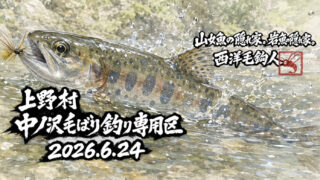 【釣果9匹山女魚2岩魚7】中ノ沢毛ばり釣り専用区2026.6.24 