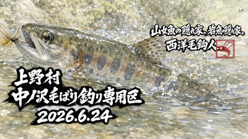 【釣果9匹山女魚2岩魚7】中ノ沢毛ばり釣り専用区2026.6.24 