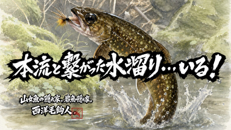 【フライフィッシング】本流と繋がった水溜り・・・いる！
