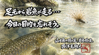 【フライフィッシング】足元から岩魚が走る・・・今日の目的を忘れそう。 