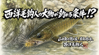 【フライフィッシング】西洋毛鉤人の大物が釣れる条件！？ 