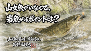 【フライフィッシング】山女魚がいなくて、岩魚がいるポイントは？ 