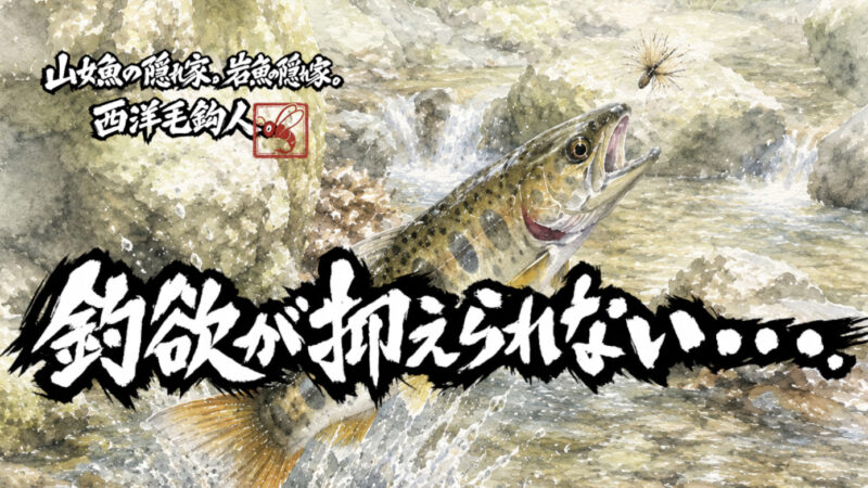 【フライフィッシング】釣欲が抑えられない・・・。