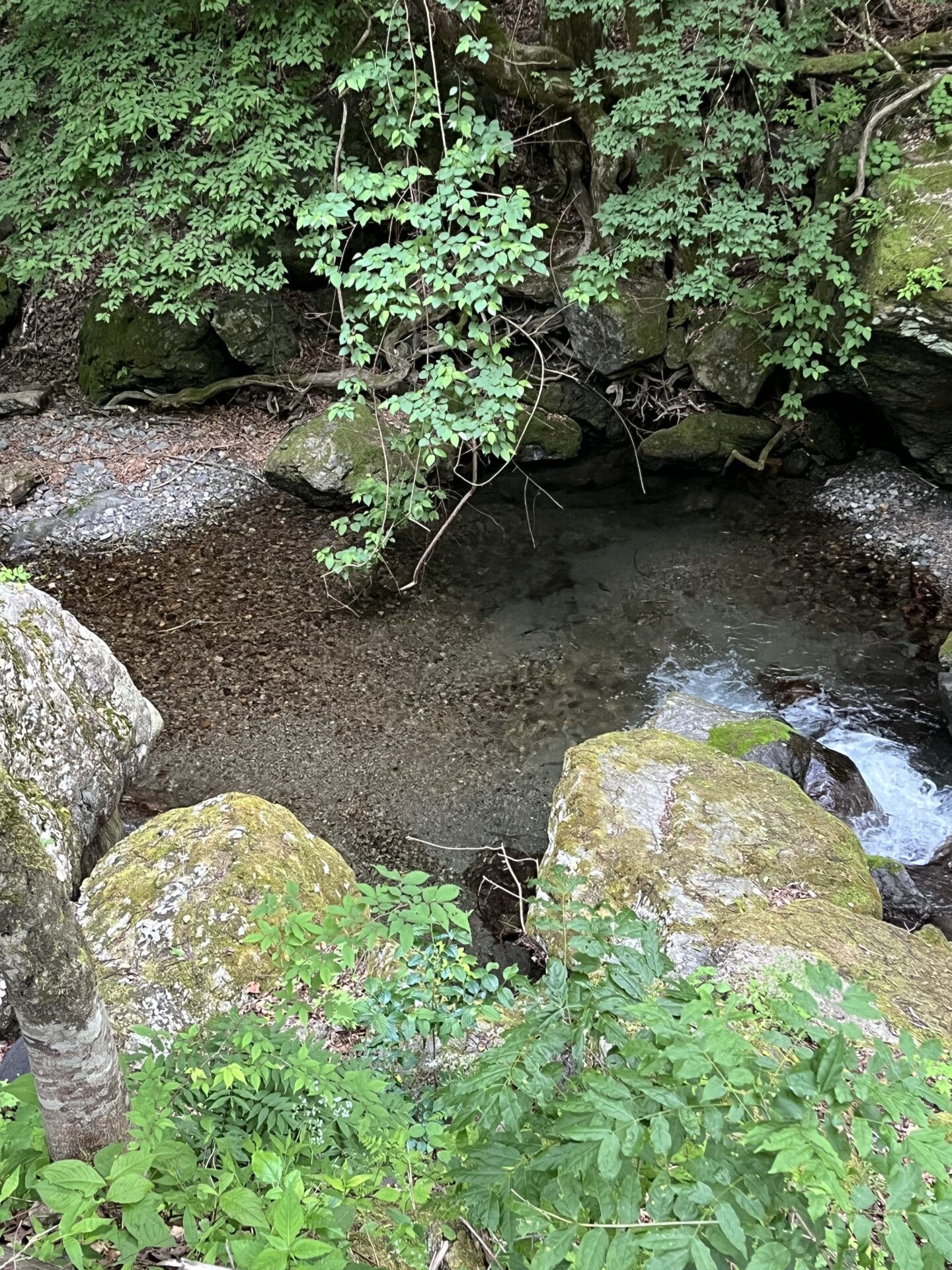 水位
上野村
中丿沢毛ばり釣り専用区
2026.5.28