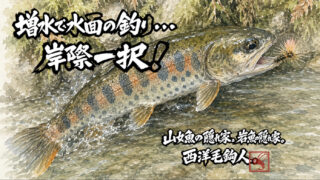 【フライフィッシング】増水で水面の釣り・・・岸際一択！ 
