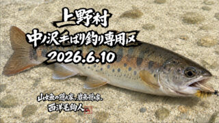 【釣果19匹山女魚9岩魚10】中丿沢毛ばり釣り専用区2026.6.10 