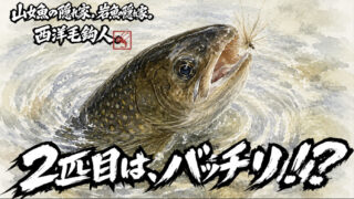【フライフィッシング】2匹目は、バッチリ！？ 
