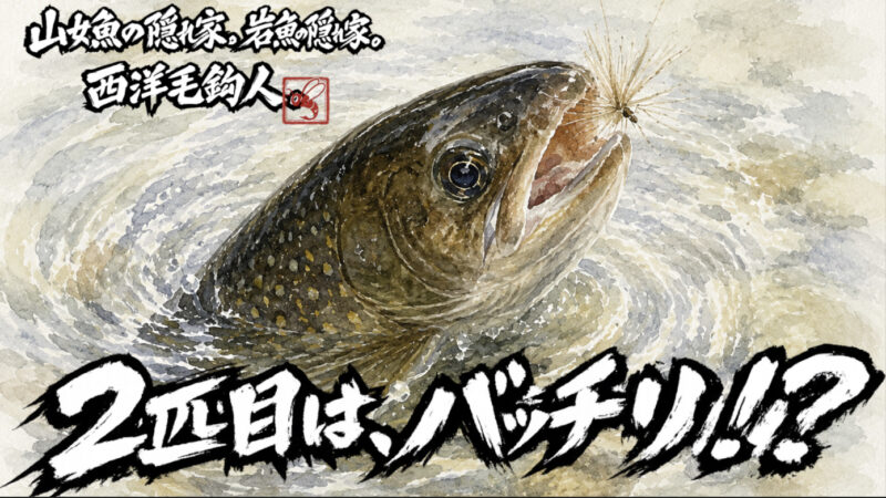 【フライフィッシング】2匹目は、バッチリ！？