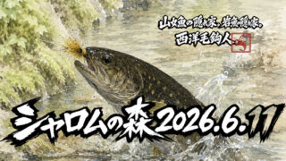 【釣果6匹山女魚2岩魚4】シャロムの森2026.6.11 