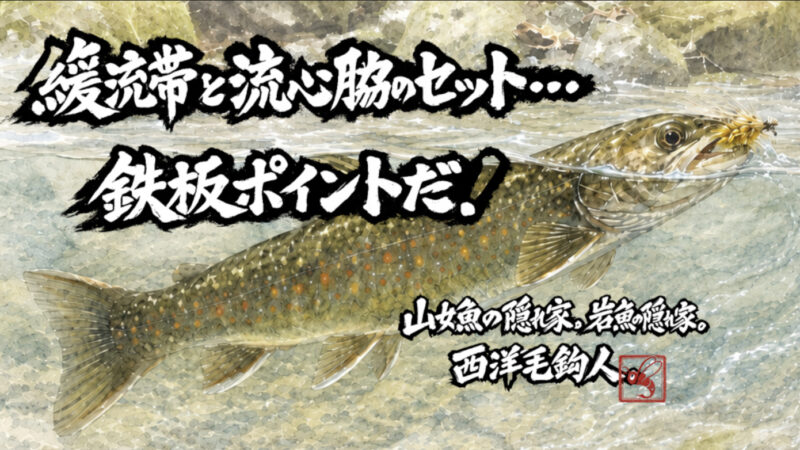【フライフィッシング】緩流帯と流心脇のセット・・・鉄板ポイントだ！