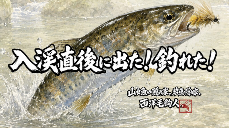 【フライフィッシング】入渓直後に出た！釣れた！
