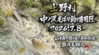 【釣果7匹山女魚5岩魚2】中ノ沢毛ばり釣り専用区2026.7.8 