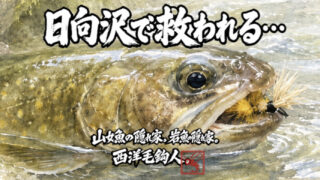 【フライフィッシング】日向沢で救われる・・・ 