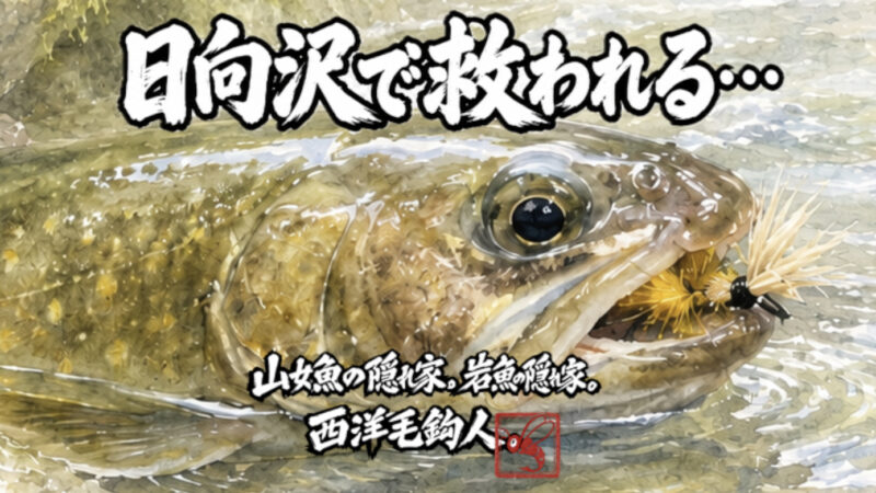 【フライフィッシング】日向沢で救われる・・・