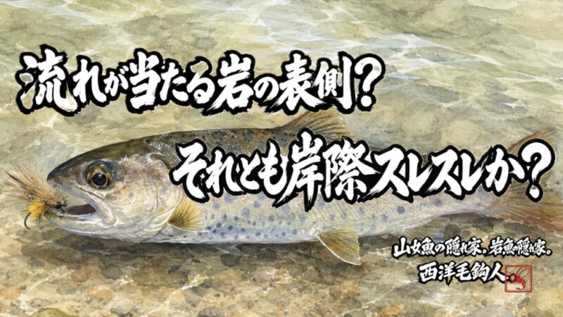 【フライフィッシング】流れが当たる岩の表側？それとも岸際スレスレか？