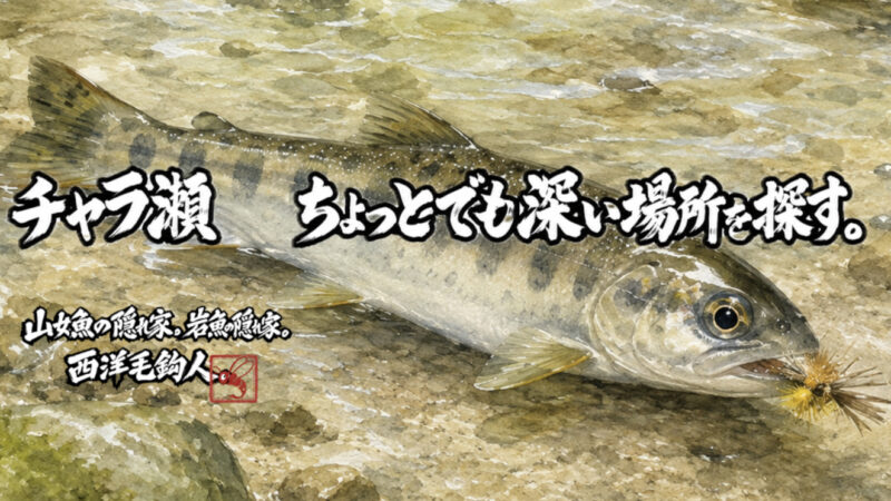 【フライフィッシング】チャラ瀬・・・ちょっとでも深い場所を探す。