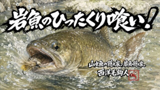 【フライフィッシング】岩魚のひったくり喰い！ 