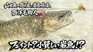 【フライフィッシング】フェイント？小賢しい岩魚！？ 