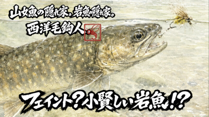【フライフィッシング】フェイント？小賢しい岩魚！？