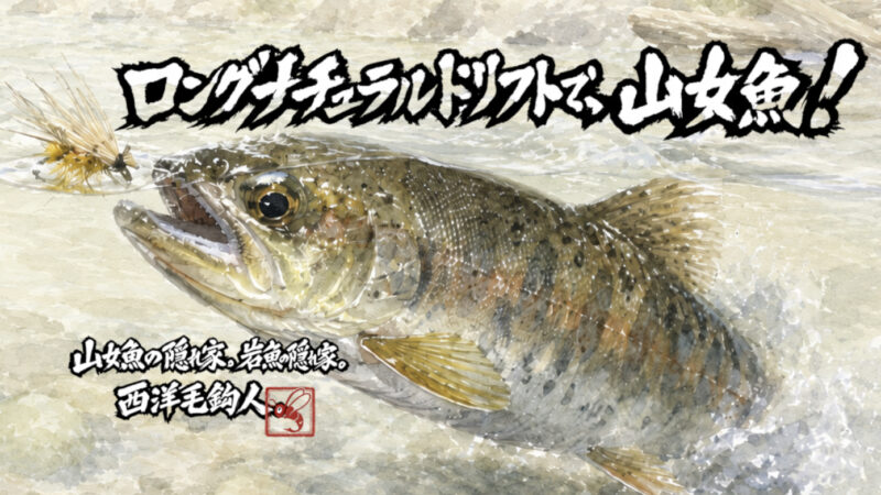 【フライフィッシング】ロングナチュラルドリフトで、山女魚！