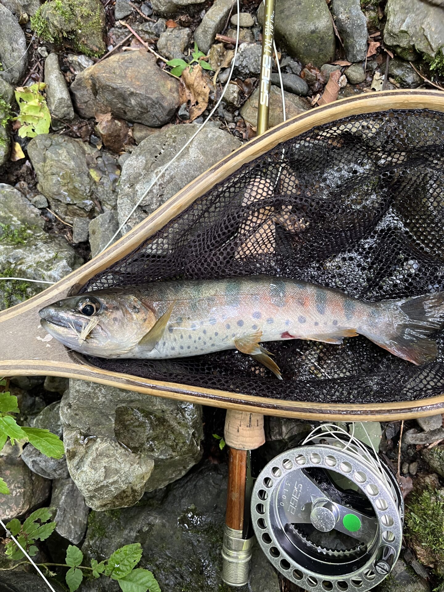 山女魚
中ノ沢毛ばり釣り専用区
206.7.8
12:52
