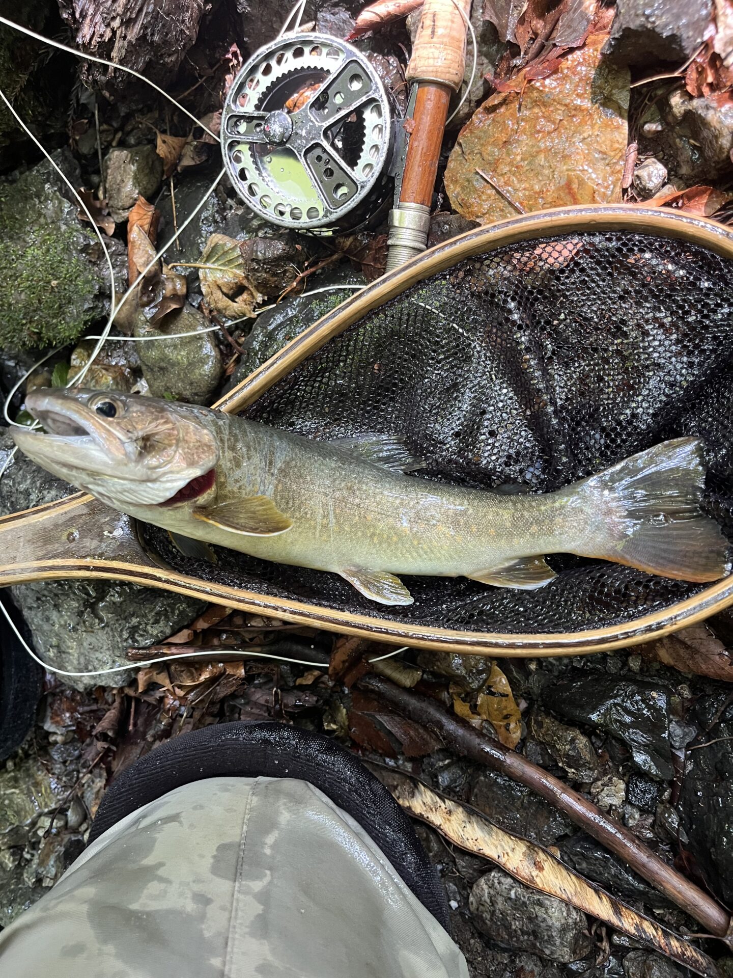 岩魚
上野村
中ノ沢毛ばり釣り専用区
2026.7.22
11:36
