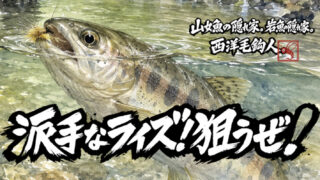 【フライフィッシング】派手なライズ！狙うぜ！ 