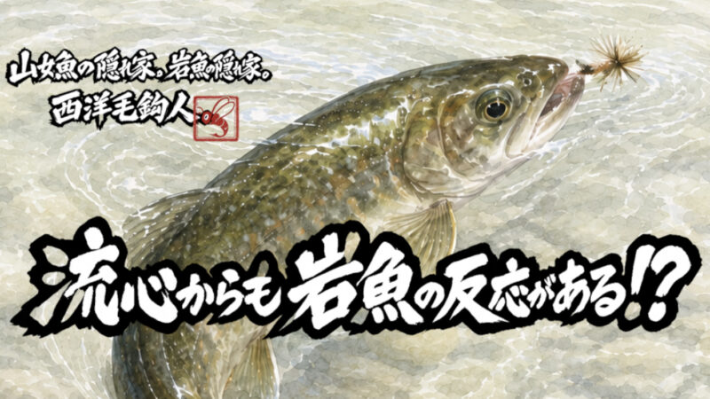 【フライフィッシング】流心からも岩魚の反応がある！？