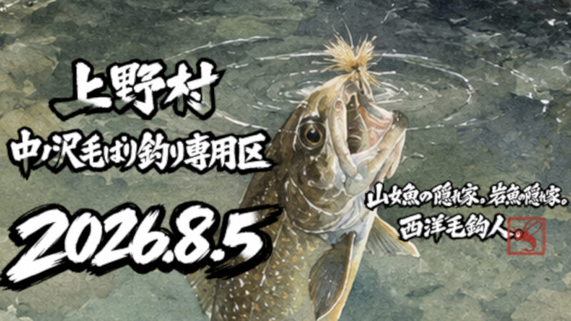 【釣果5匹山女魚3岩魚2】中ノ沢毛ばり釣り専用区2026.8.5 