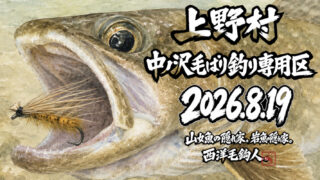 【釣果9匹山女魚1岩魚8】中ノ沢毛ばり釣り専用区2026.8.19 