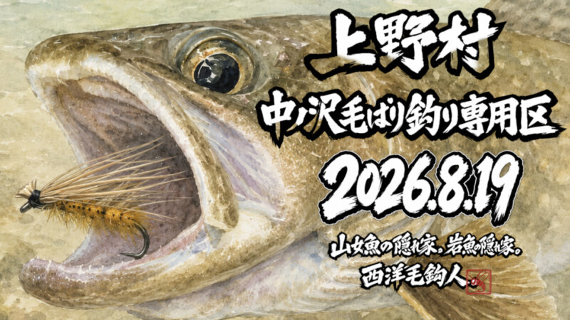 【釣果9匹山女魚1岩魚8】中ノ沢毛ばり釣り専用区2026.8.19