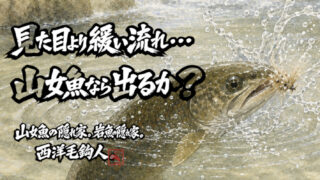 【フライフィッシング】見た目より緩い流れ・・・山女魚なら出るか？ 