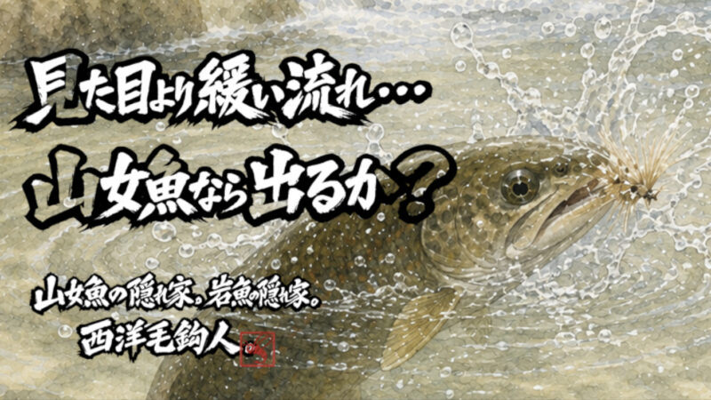 【フライフィッシング】見た目より緩い流れ・・・山女魚なら出るか？