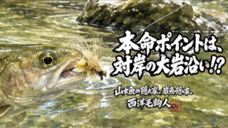 【フライフィッシング】本命ポイントは、対岸の大岩沿い！？ 