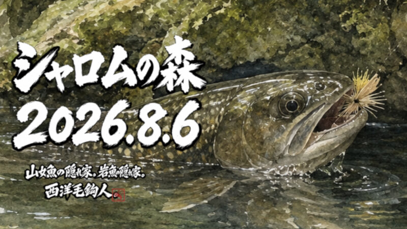 【釣果17匹山女魚12岩魚5】シャロムの森2026.8.6 