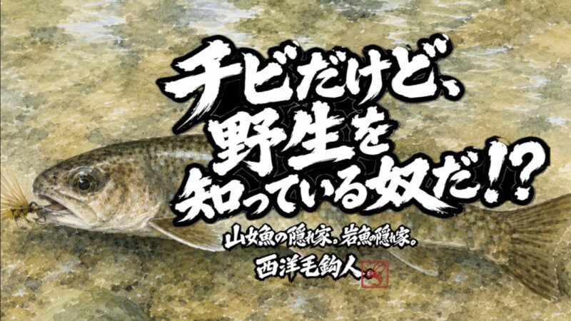 【フライフィッシング】チビだけど、野生を知っている奴だ！？