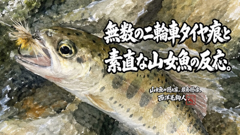 【フライフィッシング】無数の二輪車のタイヤ痕と素直な山女魚の反応。