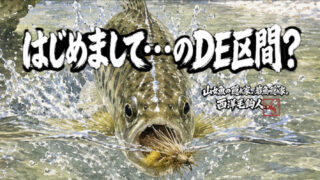 【フライフィッシング】はじめまして・・・のDE区間？ 