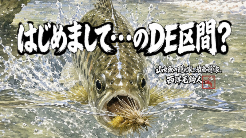 【フライフィッシング】はじめまして・・・のDE区間？