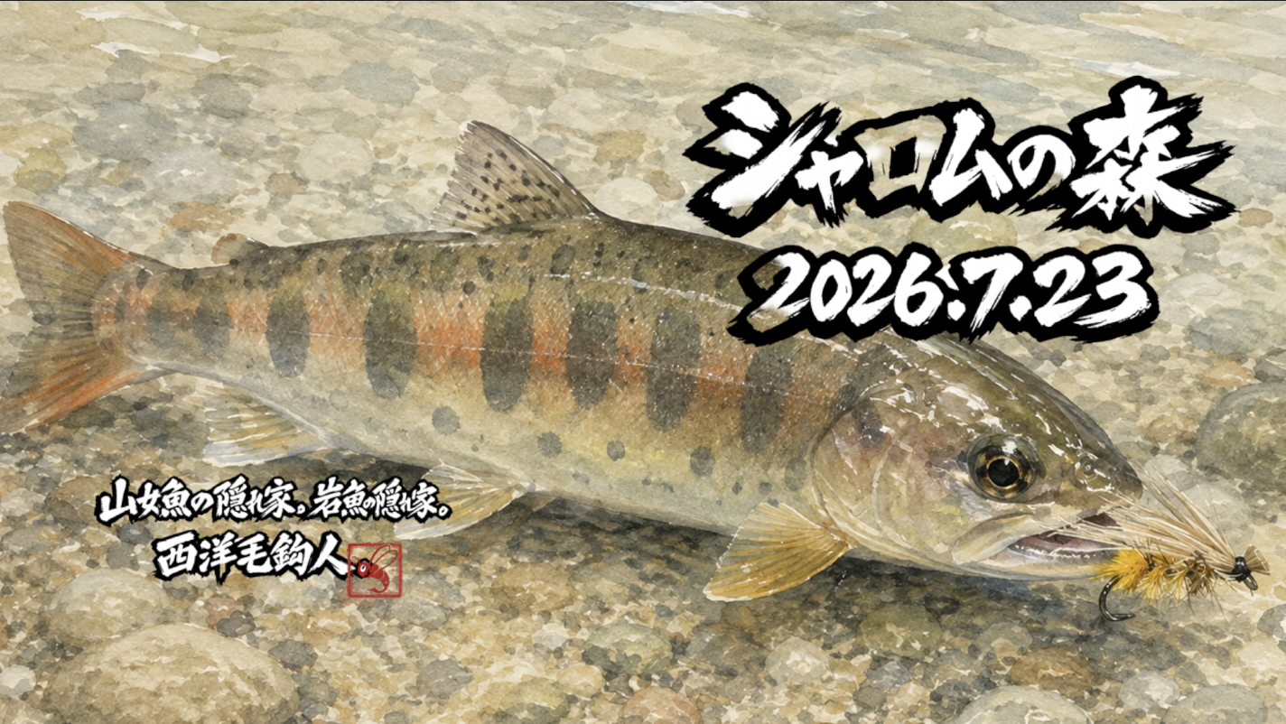  【釣果11匹山女魚11岩魚0】シャロムの森2026.7.23