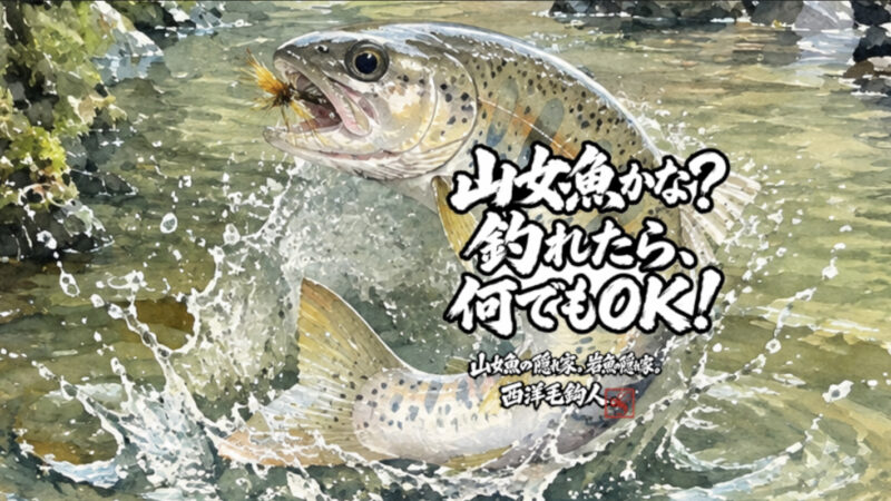 【フライフィッシング】山女魚かな？釣れたら、何でもOK!
