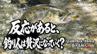【フライフィッシング】反応があると、釣り人は贅沢になっていく？ 