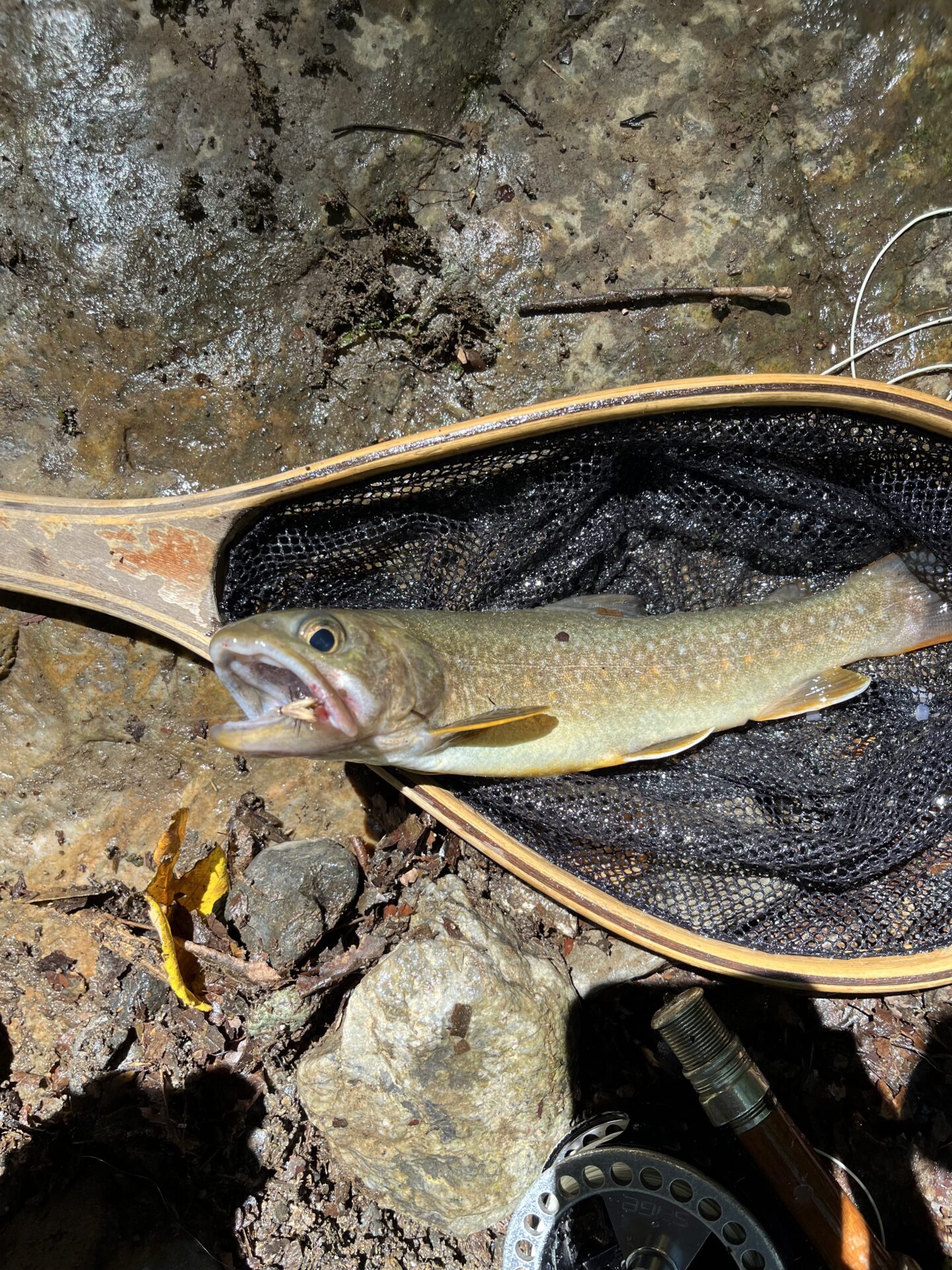 【山女魚の隠れ家。岩魚の隠れ家。】
中ノ沢毛ばり釣り専用区
2026.8.5(4)