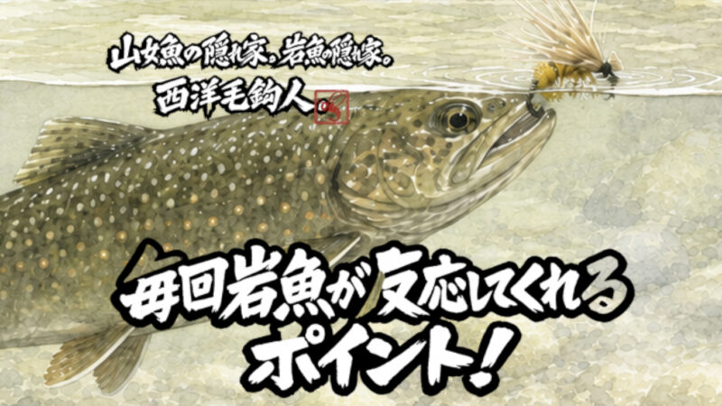 【フライフィッシング】毎回岩魚が反応してくれるポイント！