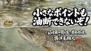 【フライフィッシング】小さなポイントも油断できないぞ！ 