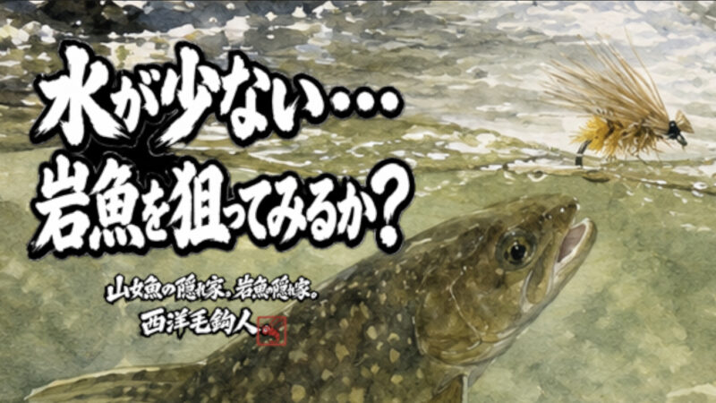 【フライフィッシング】水が少ない・・・岩魚を狙ってみるか？